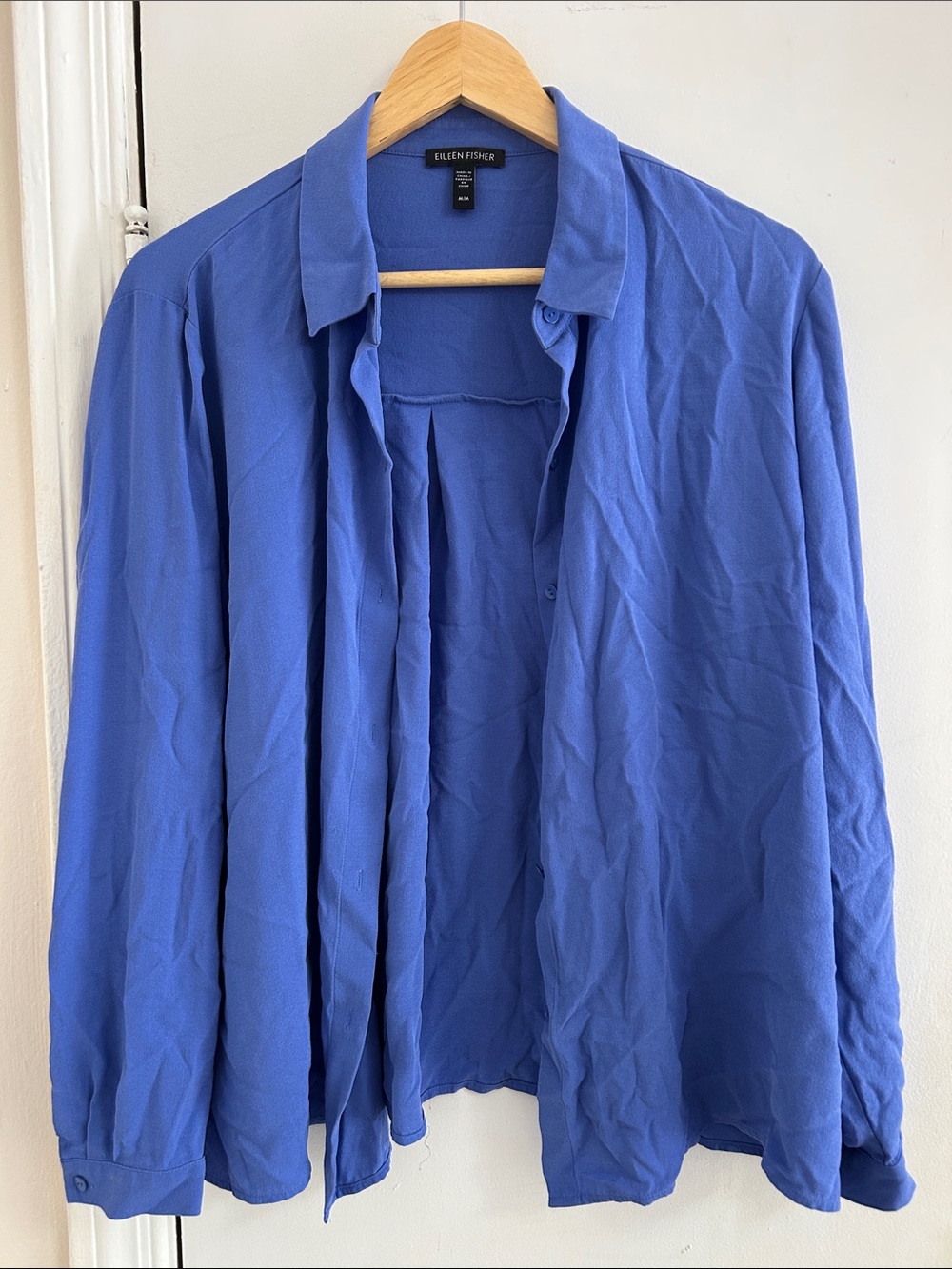 Eileen Fisher Men's Royal Blue Casual Button-Down Shirt